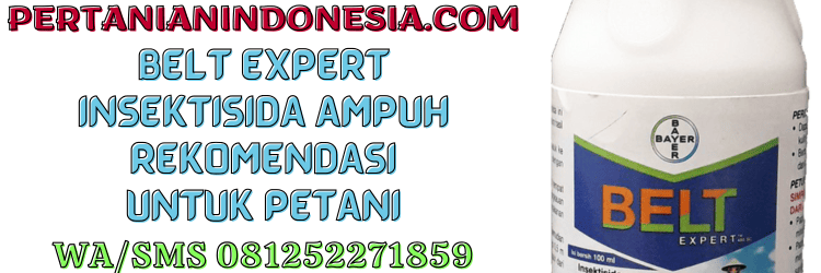 belt,belt expert 480 sc,pestisida,insektisida,bayer,pertanian indonesia